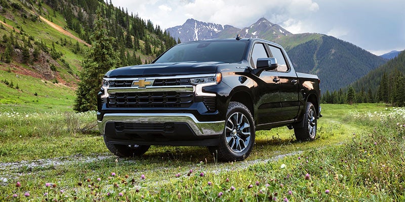 Chevrolet Silverado 1500 parked amidst lush green nature.